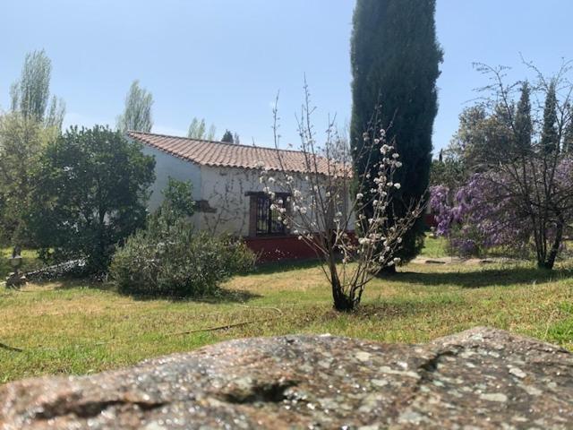 El Pueblo De Leo Hotell Badajoz Exteriör bild